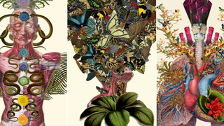 I Want These Bizarre Prints of Brains and Butterflies On My Walls